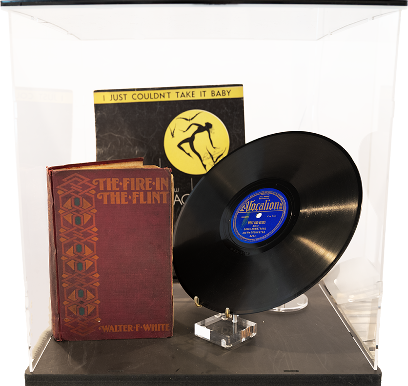 Artifact Display Case