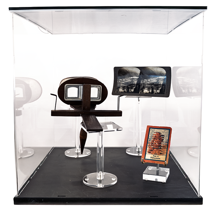 Artifact Display Case